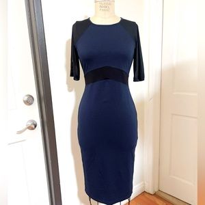 Metaphor Blue and Black Sheer Quarter Length Sleeve Sheath Dress